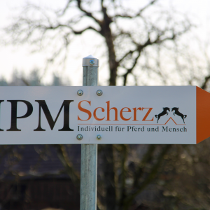 IPM Scherz